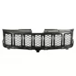BLIC 6502-07-3207902BP - Grille de radiateur