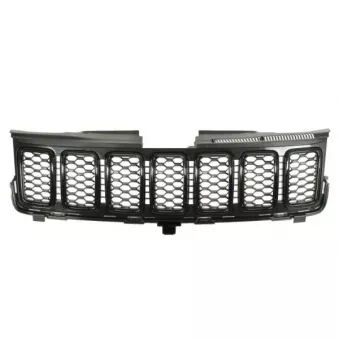 Grille de radiateur BLIC 6502-07-3207902BP