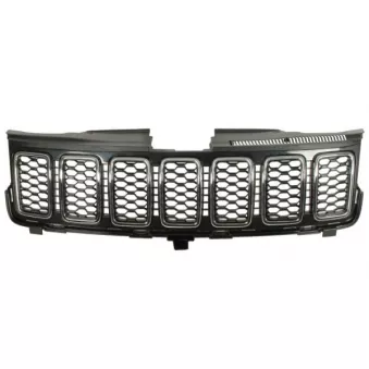 Grille de radiateur BLIC 6502-07-3207902P