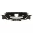 BLIC 6502-07-3496993P - Grille de radiateur