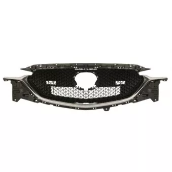 Grille de radiateur BLIC 6502-07-3496993P