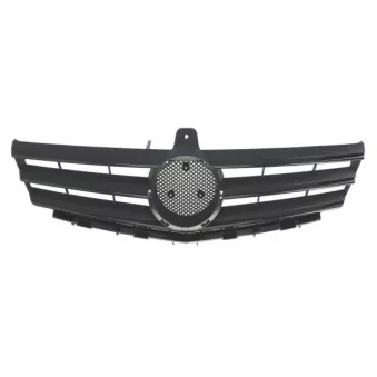 Grille de radiateur BLIC 6502-07-3506994P