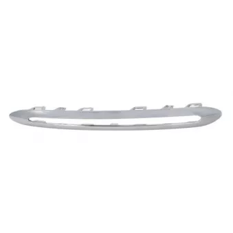 Baguette et bande protectrice, grille de radiateur BLIC 6502-07-3509924P pour MERCEDES-BENZ CLASSE B B 200 - 156cv