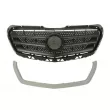 BLIC 6502-07-3548992P - Grille de radiateur