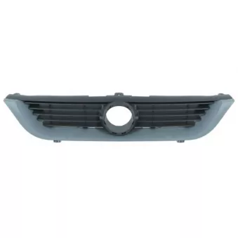 Grille de radiateur BLIC 6502-07-5077991P