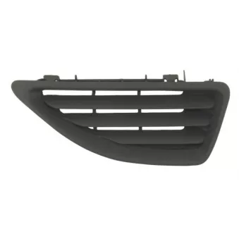 Grille de radiateur avant droit BLIC 6502-07-6037996P