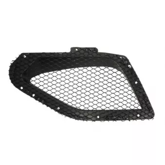 Grille de radiateur BLIC 6502-07-6901992SP