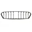 BLIC 6502-07-6901993SP - Grille de radiateur