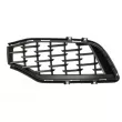 BLIC 6502-07-6901997P - Grille de radiateur avant gauche