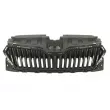 BLIC 6502-07-7517992P - Grille de radiateur