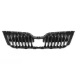 BLIC 6502-07-7527990P - Grille de radiateur