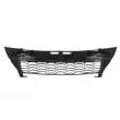 BLIC 6502-07-8156992P - Grille de radiateur