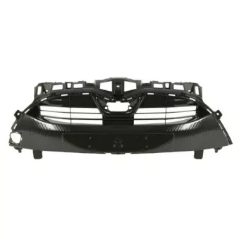 Grille de radiateur BLIC 6502-07-8158990P