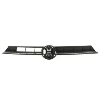 Grille de radiateur BLIC OEM 2G0853651Q