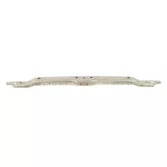 Revêtement avant BLIC 6502-08-0070205P