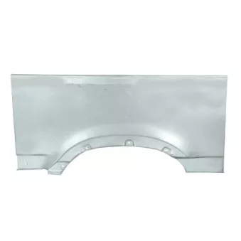 Aile arrière gauche BLIC 6504-01-5088573P