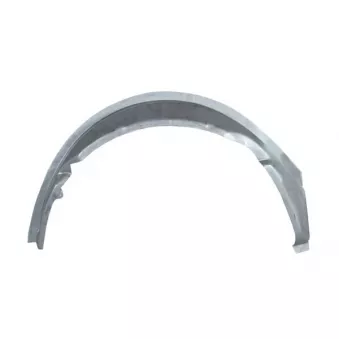 Doublure d'aile arrière droit BLIC 6504-03-3542552P