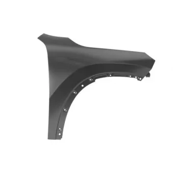 Aile avant droit BLIC 6504-04-0024312P