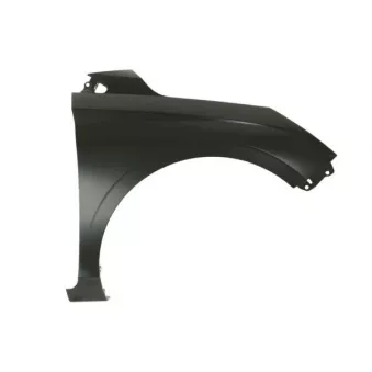 Aile avant droit BLIC 6504-04-3131312P