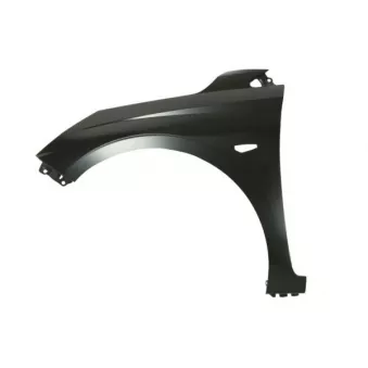 Aile avant gauche BLIC 6504-04-3131313P