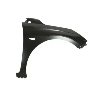 Aile avant droit BLIC 6504-04-3131314P