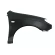 Aile avant droit BLIC [6504-04-3155316P]