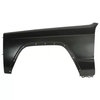 Aile avant gauche BLIC 6504-04-3203313P