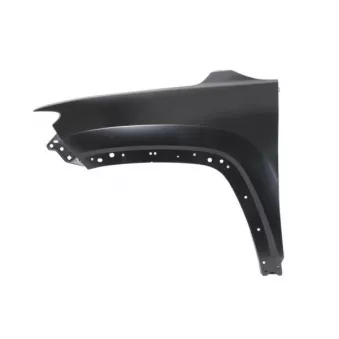 Aile avant gauche BLIC 6504-04-3235311P