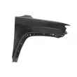 Aile avant droit BLIC [6504-04-3235312P]
