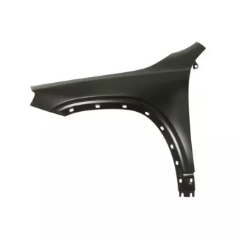 Aile avant gauche BLIC 6504-04-3584311P