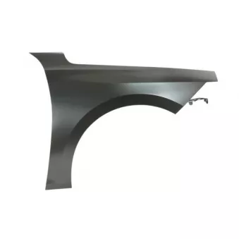 Aile avant droit BLIC 6504-04-5055312P