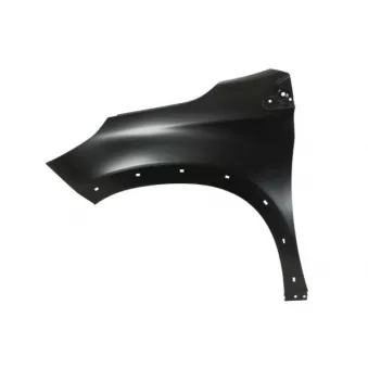 Aile avant gauche BLIC 6504-04-5516313P