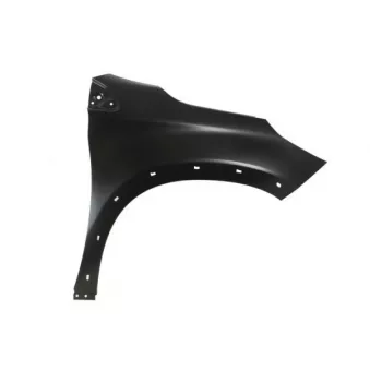 Aile avant droit BLIC 6504-04-5516314P