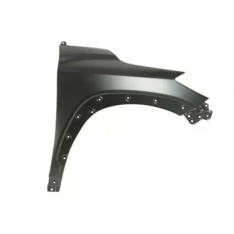 Aile avant droit BLIC 6504-04-8141312P