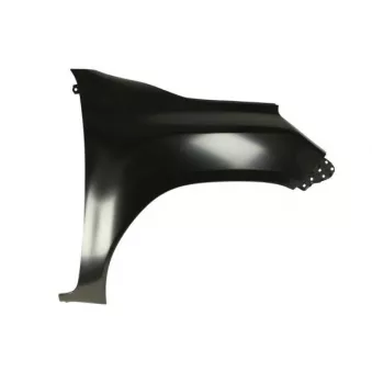 Aile avant droit BLIC 6504-04-8175312P