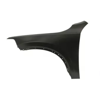 Aile avant gauche BLIC 6504-04-9061311AP