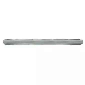 Plaque de seuil BLIC 6505-06-2035013K