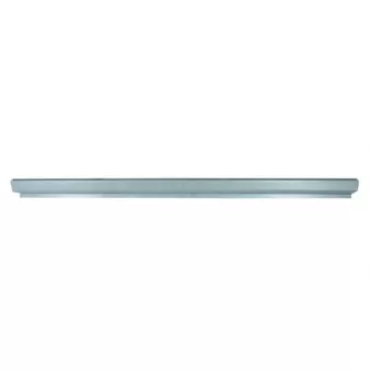 Plaque de seuil BLIC 6505-06-2507016P