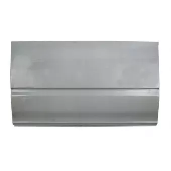 BLIC 6505-06-2509100P - Panneau latéral