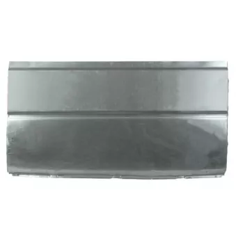 Panneau latéral BLIC 6505-06-2515001K