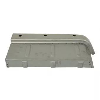 Marchepied avant droit BLIC 6505-06-3545048P pour MERCEDES-BENZ T1 210 D 2.8 - 98cv