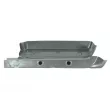 BLIC 6505-06-3546060P - Marchepied avant droit 
