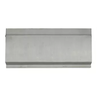 Panneau latéral BLIC 6505-06-6089006P