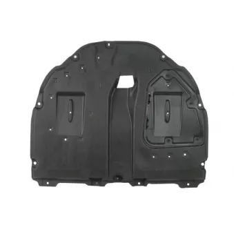 Cache moteur BLIC 6601-02-8141873P