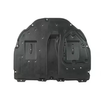 Cache moteur BLIC 6601-02-8141874P