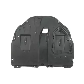 Cache moteur BLIC 6601-02-8141875P