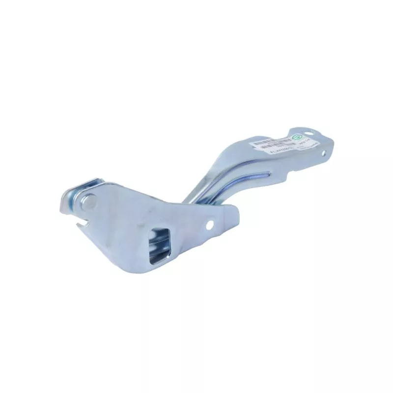 Charnière, capot-moteur BLIC 6802-00-3150455P - Visuel 1