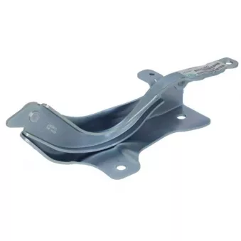 Charnière, capot-moteur BLIC 6802-00-3182452P pour HYUNDAI SANTA FÉ CRDi 4x4 - 197cv