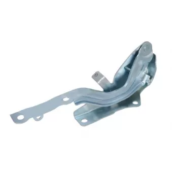 Charnière, capot-moteur BLIC 6802-00-3289452P