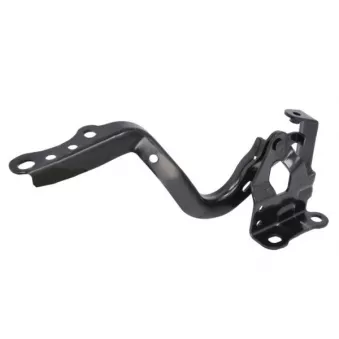 Charnière, capot-moteur BLIC OEM 5341047130